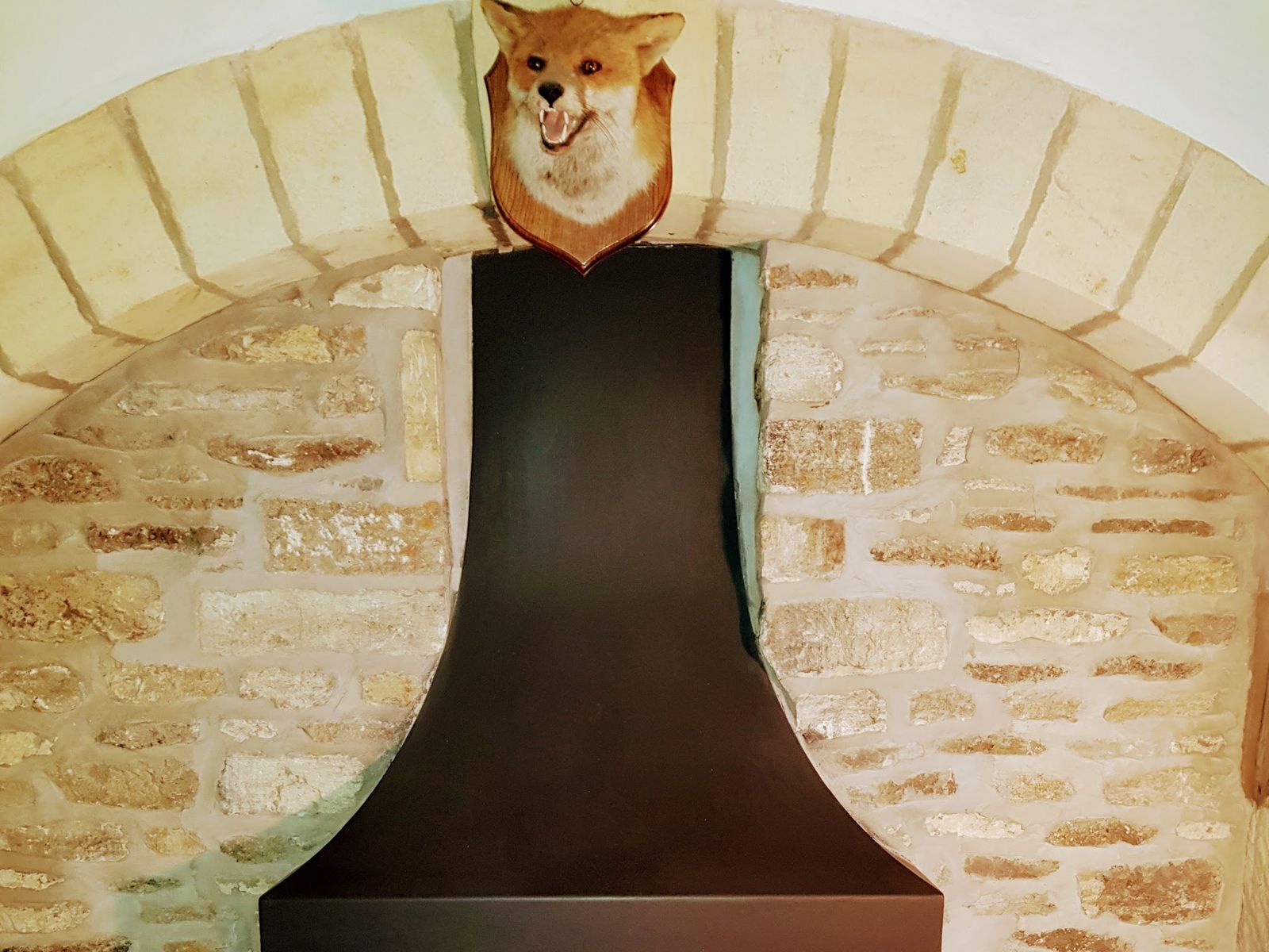 A tall black canopy in a stone arch fireplace